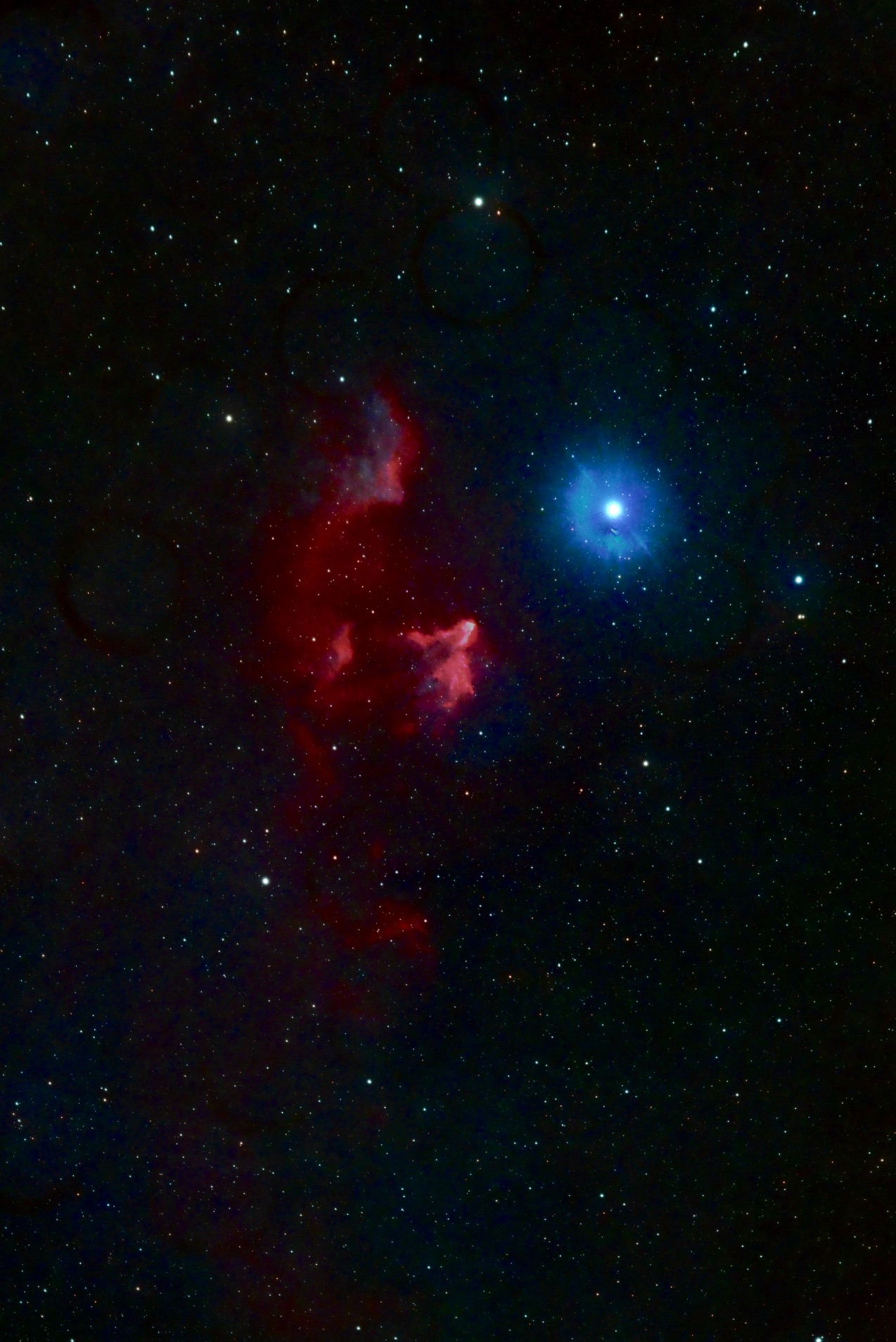 Ghost of Cassiopeia 👻 Nebula